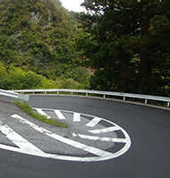 Iroha-zaka Road Iroha-zaka Road