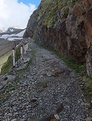 Old Gavia Road
