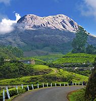 Munnar road