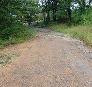 Zombie Road