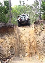 Old Telegraph Track