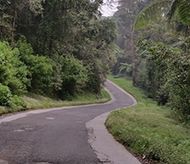 Kawah Putih