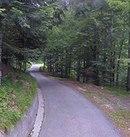 Strada Prato-Uccea