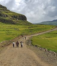 Mount Abuna Yosef