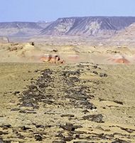 Giza Road