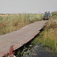 Linyanti River bridge