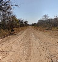 Ruaha National Park