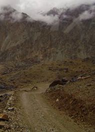 Saricha Road