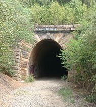 Mushroom Tunnel