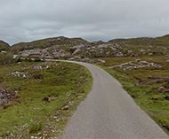 Wee Mad Road