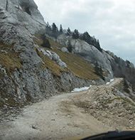 Gola Pljesevica