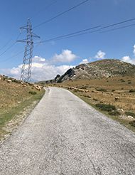 Zare Lazarevski
