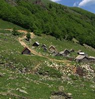 Pešića Jezero