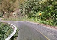 Mexico 175 (Puchutla Road)