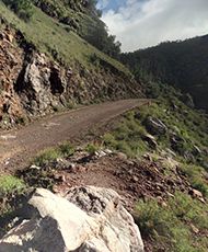 Carretera a Urique