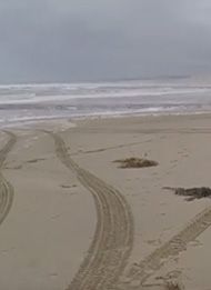 Sandy Cape Track