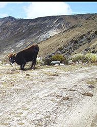 Las Pailas Peak