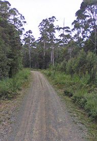 Eaglehawk Lookout