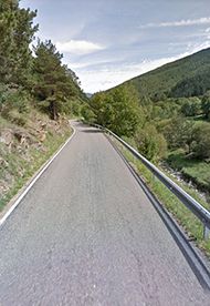 Roadkill hotspots around the world
