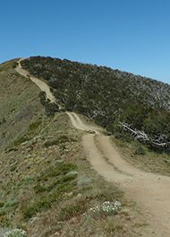 Blue Rag Range Track