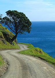 Port Jackson Road