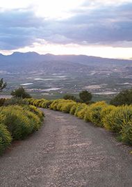 Sierra de Carrascoy