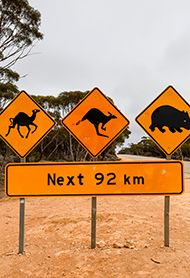Driving Down Under: Top 8 Most Dangerous Roads In Australia