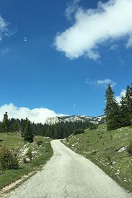 Veliki Štuoc