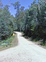 Borradaile Plains Track