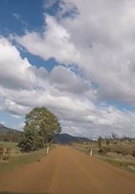 Wielangta Forest Drive