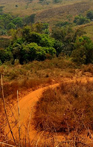 Ring Road of Cameroon