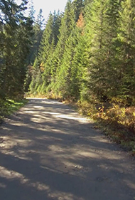 Mount Hoverla