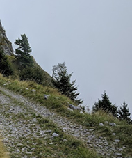 Monte Stol
