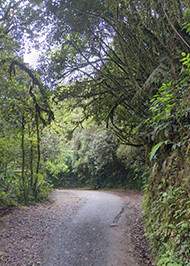 Mount Batu Brinchang