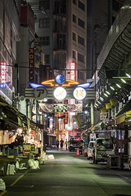 The Best Shops in Ameyoko Shopping Street
