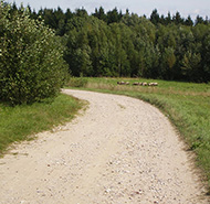 Aukštojas Hill