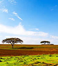 Tips for Solo Female Travelers in Ethiopia: Dos and Don'ts