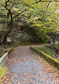 Onbashi Bridge