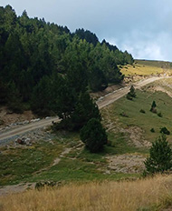 Coll de Pimés