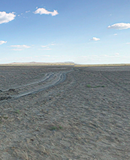 Kantubek