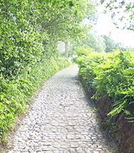 Koppenberg