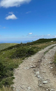 Vladeasa Peak