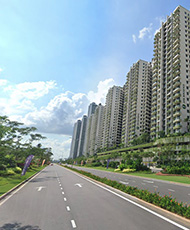 Forest City