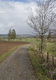 Kneiff