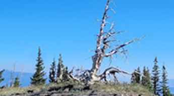 Mount Dutton