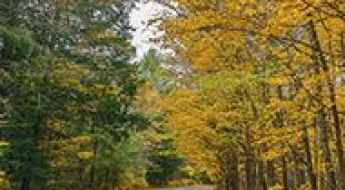 Picturesque Routes for the Ultimate Road-trip & Vacation in the Pocono Mountains