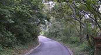 Mount Davis Path