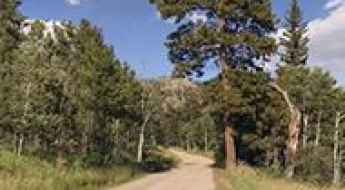 White Pine Pass