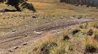 Bennett Peak