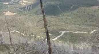 The wild road to Cerro de la Viga